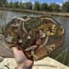 epoxi_alatet
